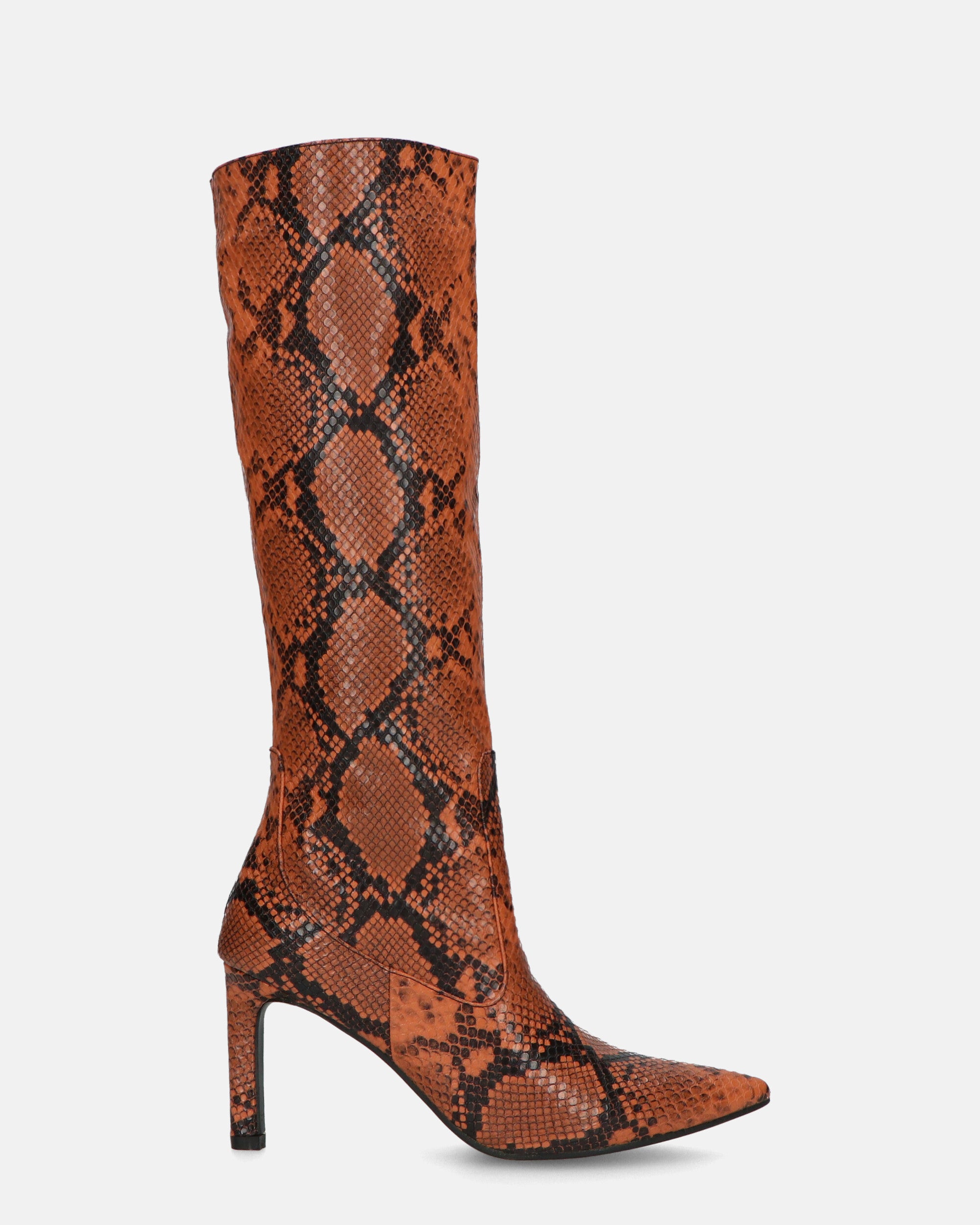 CarolineBrownSnake_1.jpg